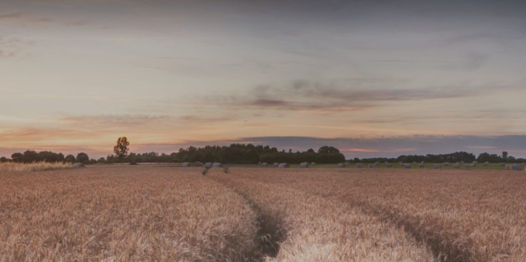 Nous cultivons le vivant depuis 1853